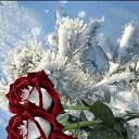 ���� �����, ���������, 47 ��� - ��������� 12 ������� 2024 � ������ ���� ����������