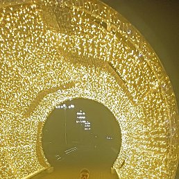 �����, ����������, 21 ���