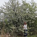 ���� L, ���!, 54 ���� - ��������� 8 ��� 2025 � ������ ���� ����������