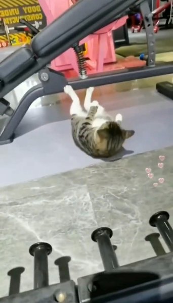 ����� �����, ��� �� ���� ������ ������ - 2