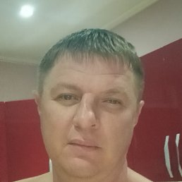 , 41, 