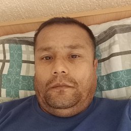 , 48, 