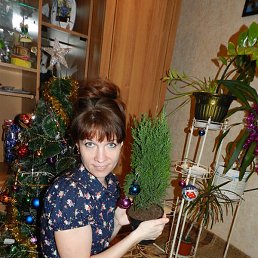 ����, ���������, 47 ���