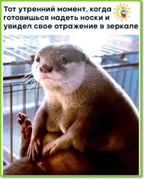 ☆ ☆ - 24  2025  00:14