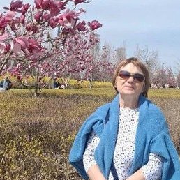 ����, ���������