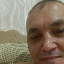 ������, 48 ���, ������