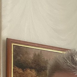 �����, ������, 53 ����