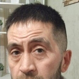 ������, �����������, 46 ���