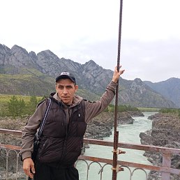 , 40, 