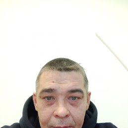 ���������, 44 ����, �����������