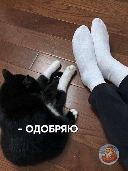 ����� ������ ����������� � ������ ������, �������, ���������� �� ������� ������, ���������� ������� ...