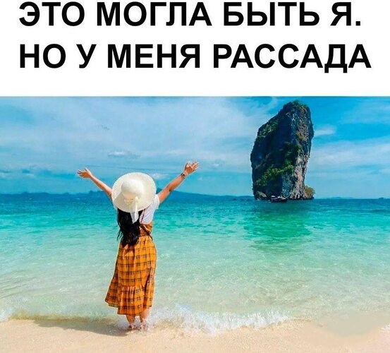  ! - 19  2025  14:31