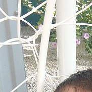 �����, 44 ����, �����