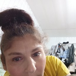 ������ ���������, 42 ����, ������