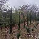 ���� Kaspersky, ������, 36 ��� - ��������� 14 ������ 2026 � ������ ������������ ������� 2025�