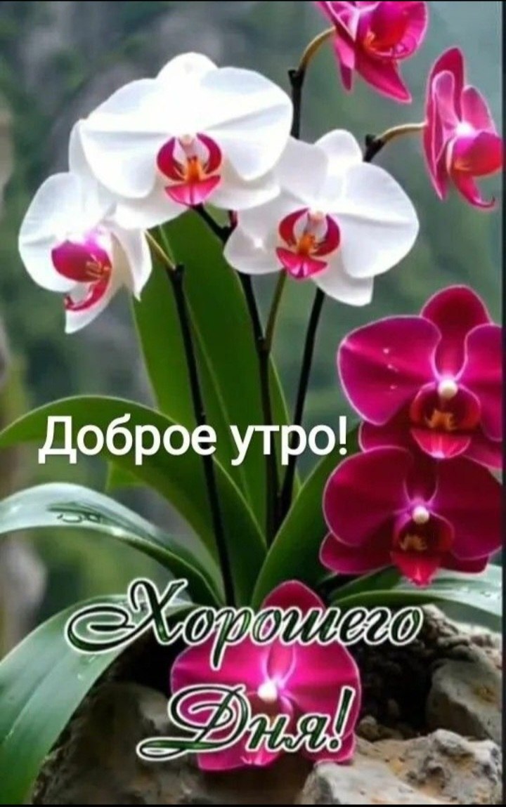  - 3  2025  07:39