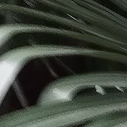 ���������, ������ �����, 38 ���