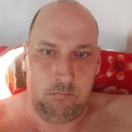 ������, �������, 43 ����