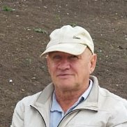 , 67 , 