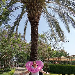 �����, 49 ���, ��������