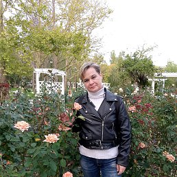 , 53, 