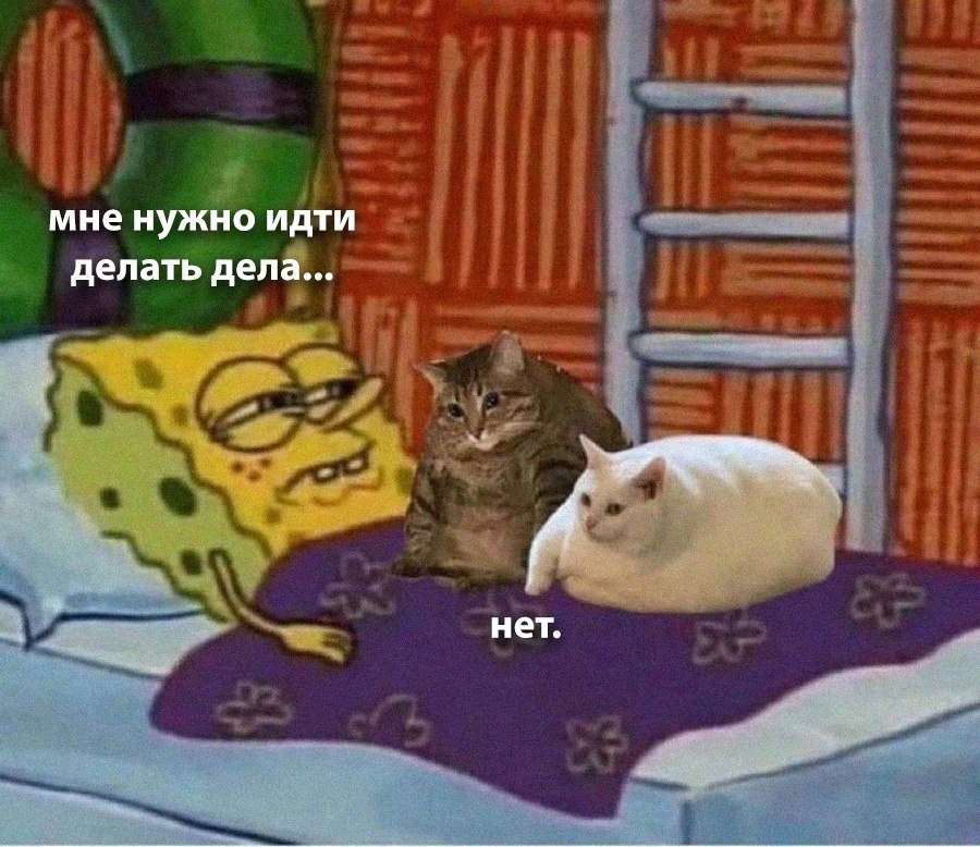    - 25  2025  12:17