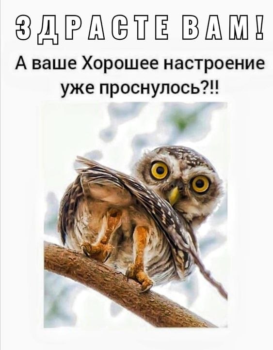   - 15  2023  07:44