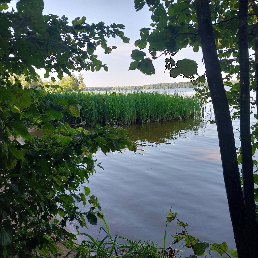 coe oopae. c p-, ococa o.  2024. op oo ec aeea - 7