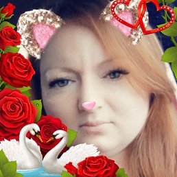 �����, ���������, 32 ����