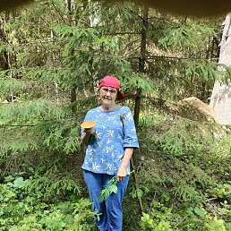 ���� ��������, ���������, 65 ��� - ��������� 4 ����� 2026