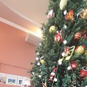 ���� ���������, ���������, 72 ���� - ��������� 6 ������� 2026 � ������ ���� ����������