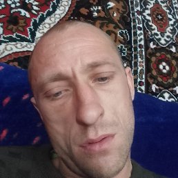 ������, �������, 37 ���