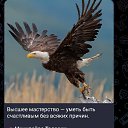 ���� �����, �����-���������, 50 ��� - ��������� 21 ������ 2026 � ������ ���� ����������