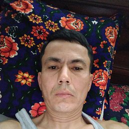 Lev, 37, 
