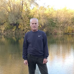 , 61 , 