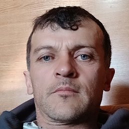 ������, ������, 39 ���