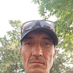, 43, 
