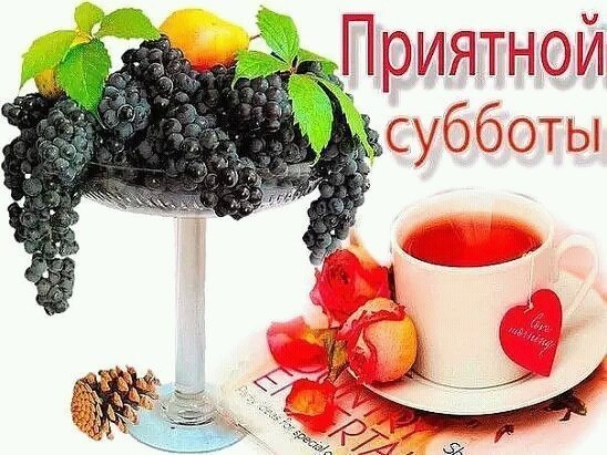   - 19  2025  16:50