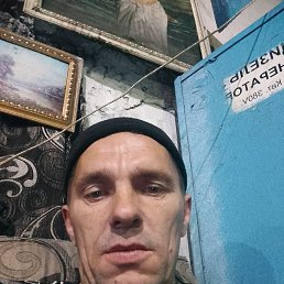 �������, 38 ���, ����������