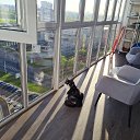 ���� �������, ����� - ��������� 3 ��� 2025 � ������ ���� ����������