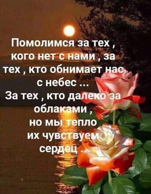   - 14  2024  16:42