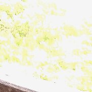 �������, 36 ���, ������������