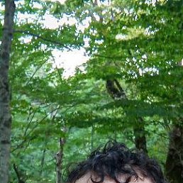  , 38, 