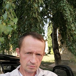 , 48, 
