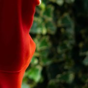 �����, 62 ����, ��������