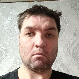 �������, ������, 37 ���