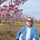 ���� ����, ��������� - ��������� 5 ������ 2026 � ������ ���� ����������