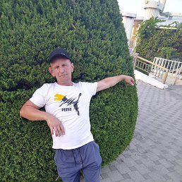 , 46, 