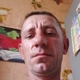 �����, ������, 41 ���