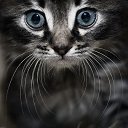 ���� �����, �����������, 49 ��� - ��������� 15 ������� 2025 � ������ ���� ����������